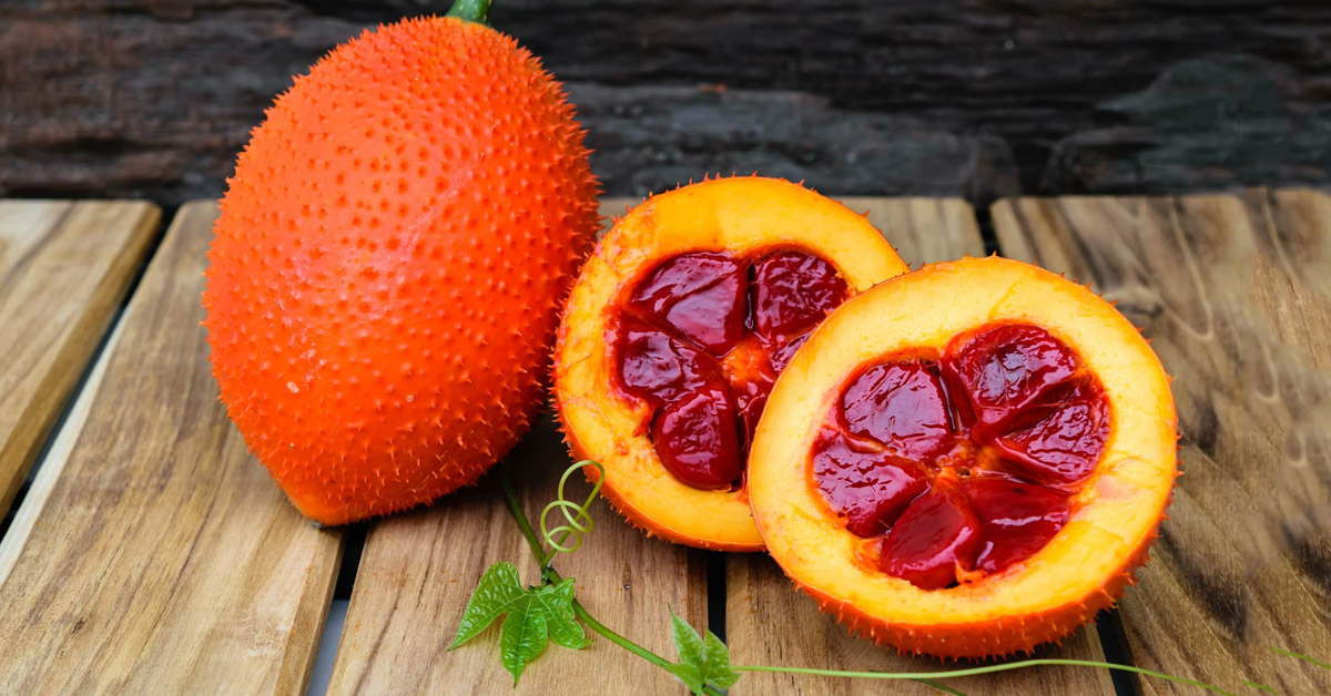 Dầu Gấc: 